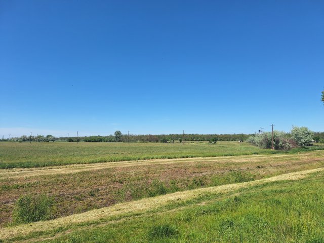 Eladó telek, Szolnokon 5.8 M Ft / költözzbe.hu