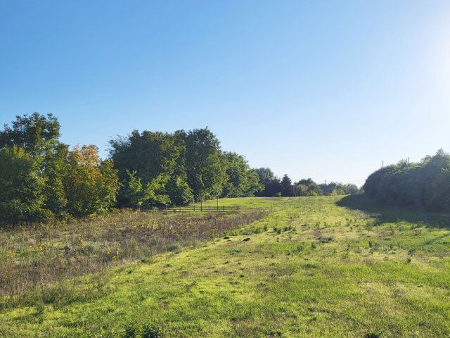 Eladó telek, Tóalmáson, Páskom dűlőn 8.5 M Ft