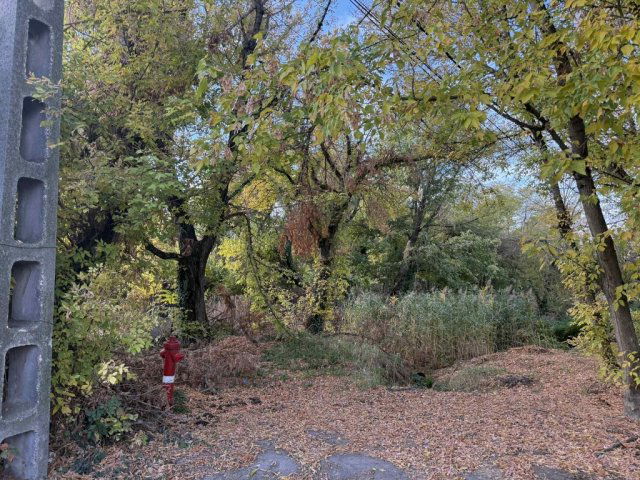 Eladó telek, Ráckevén 15 M Ft / költözzbe.hu