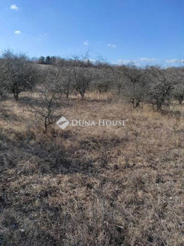 Eladó mezogazdasagi ingatlan, Csomádon 11.7 M Ft