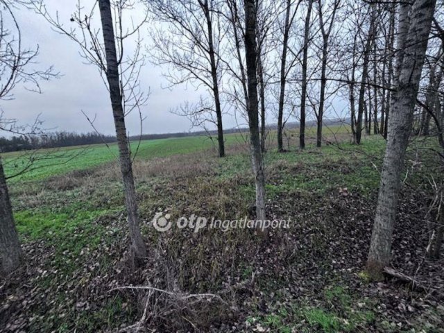 Eladó ipari ingatlan, Monoron 30 M Ft / költözzbe.hu