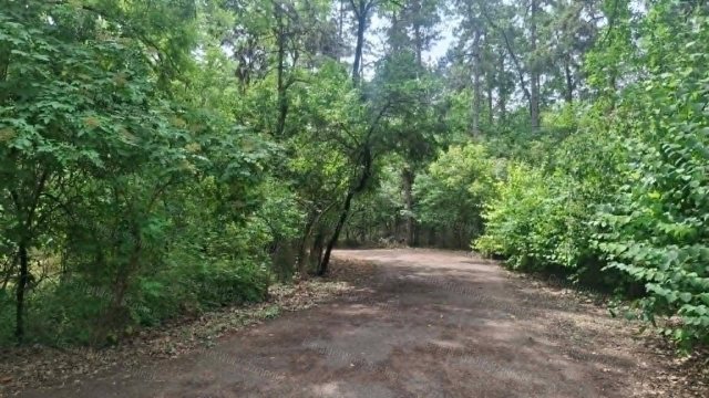 Eladó mezogazdasagi ingatlan, Szászbereken 8.5 M Ft
