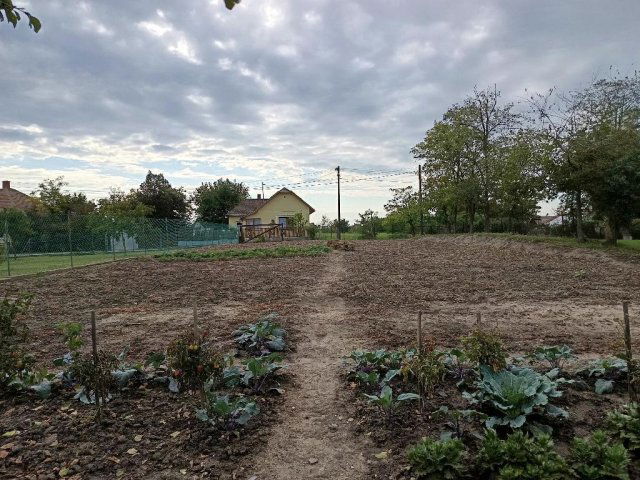 Eladó telek, Tiszaigaron 2.5 M Ft / költözzbe.hu