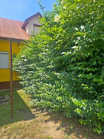 Eladó családi ház, Debrecenben, Ács utcában 64.9 M Ft, 2 szobás