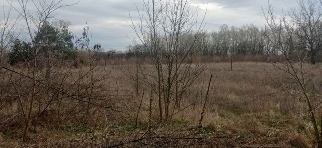 Eladó mezogazdasagi ingatlan, Csemőn 2.5 M Ft