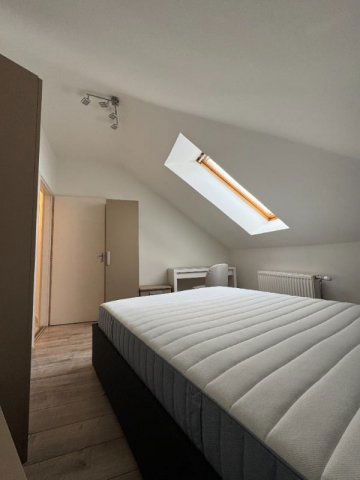 Kiadó téglalakás, albérlet, Pécsett, Citrom utcában, 3 szobás