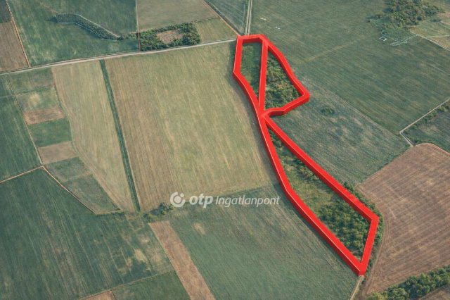 Eladó mezogazdasagi ingatlan, Szabadegyházán 37.9 M Ft