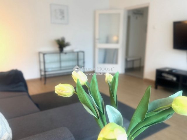 Kiadó téglalakás, albérlet, Debrecenben 240 E Ft / hó, 2 szobás