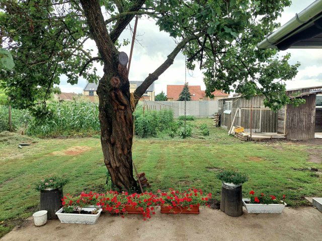 Eladó családi ház, Hajdúböszörményen 78.75 M Ft, 2 szobás