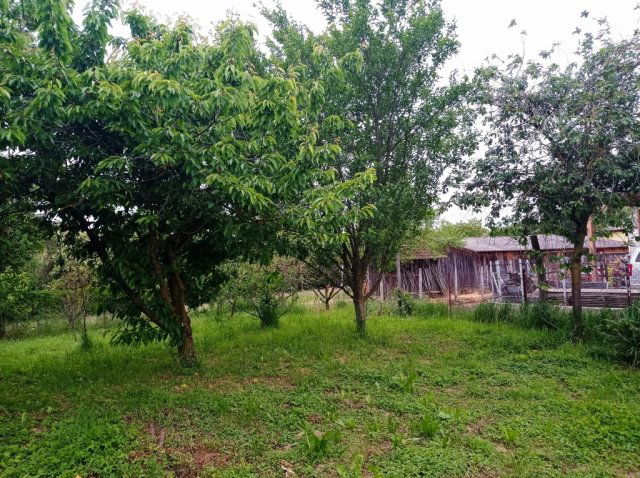 Eladó családi ház, Zalalövőn 34 M Ft, 3 szobás