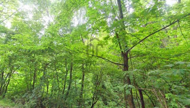 Eladó telek, Budapesten, XII. kerületben 680 M Ft