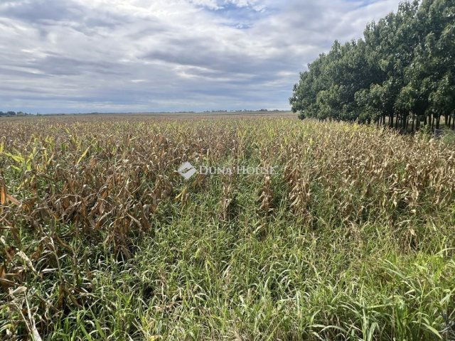 Eladó családi ház, Lepsényben 23.9 M Ft, 2 szobás
