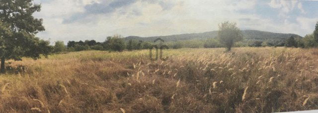 Eladó mezogazdasagi ingatlan, Pilisvörösváron 199 M Ft