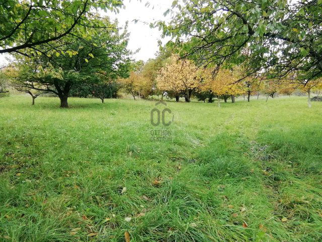 Eladó telek, Zalaegerszegen 10 M Ft / költözzbe.hu