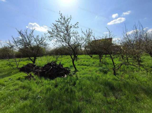 Eladó mezogazdasagi ingatlan, Törökszentmiklóson 1.45 M Ft
