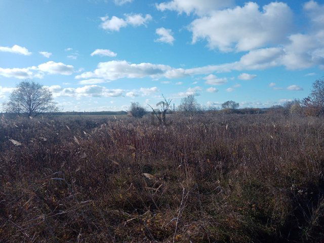 Eladó mezogazdasagi ingatlan, Szigethalmon 6.5 M Ft