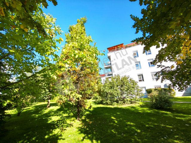 Kiadó téglalakás, albérlet, XIV. kerületben, Szugló utcában
