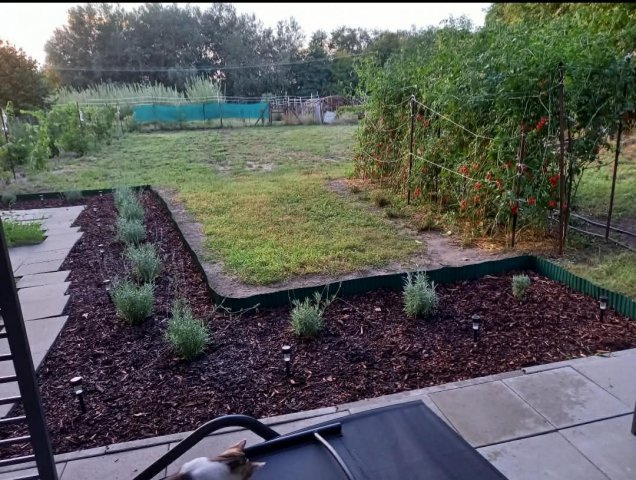 Eladó nyaraló, Szatymazon 6.5 M Ft, 1 szobás