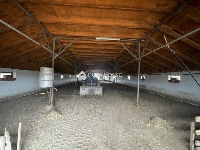 Eladó mezogazdasagi ingatlan, Domaszéken 160 M Ft