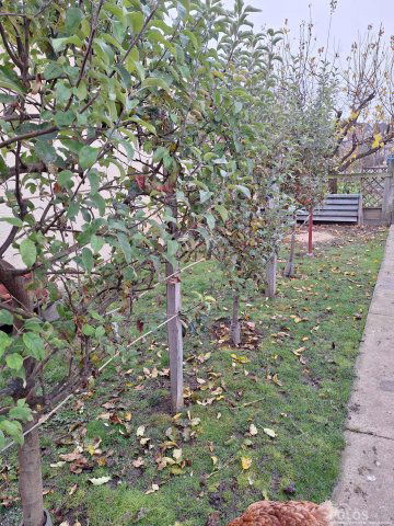 Eladó családi ház, Lakon 149.9 M Ft, 4 szobás