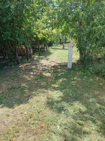 Eladó mezogazdasagi ingatlan, Balatonszabadiban 11.9 M Ft