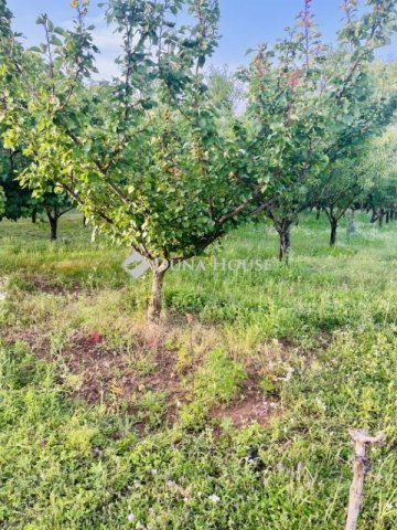 Eladó ipari ingatlan, Szentkirályszabadján 8 M Ft