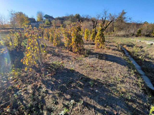 Eladó telek, Mohácson 1.2 M Ft / költözzbe.hu