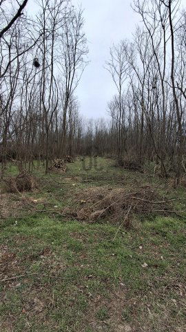 Eladó telek, Hajdúsámsonon 130 M Ft / költözzbe.hu