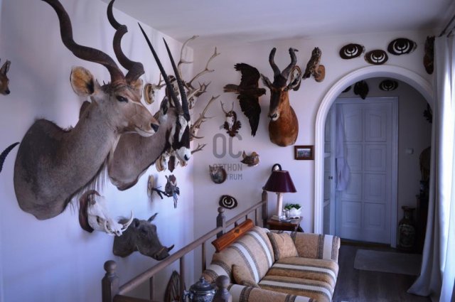 Eladó ikerház, Budapesten, XVIII. kerületben 195 M Ft, 5 szobás