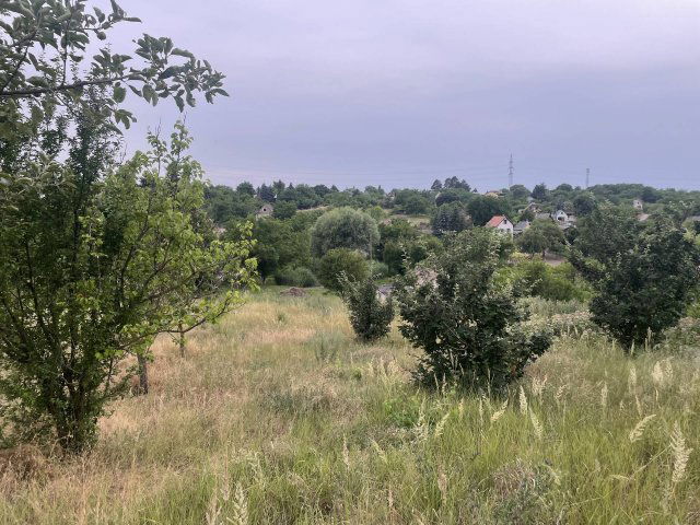 Eladó mezogazdasagi ingatlan, Szomódon 139 M Ft