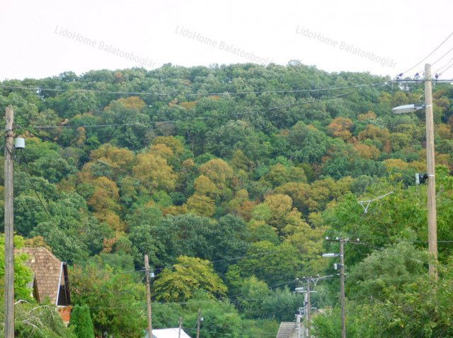 Eladó telek, Kerekin 17.7 M Ft, 2 szobás / költözzbe.hu