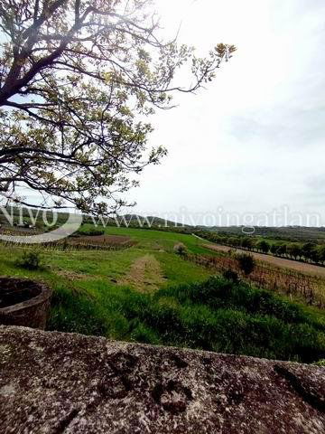 Eladó nyaraló, Pécselyen 36 M Ft, 3 szobás