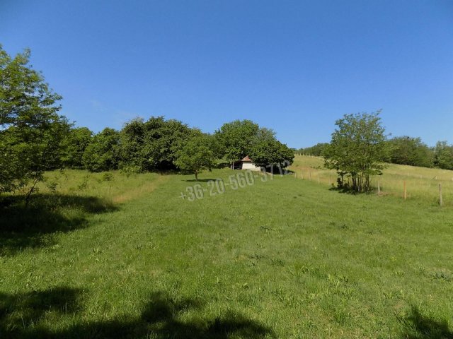 Eladó telek, Zalacsányon 29.9 M Ft / költözzbe.hu