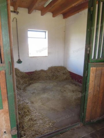 Eladó mezogazdasagi ingatlan, Lajosmizsén 307.5 M Ft