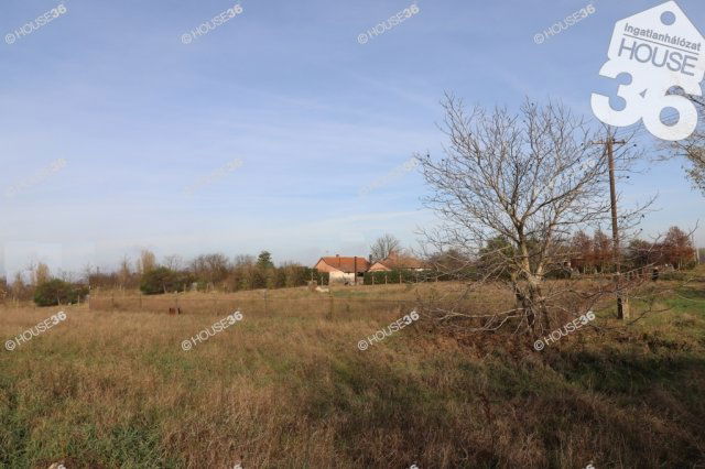 Eladó családi ház, Kecskeméten 25 M Ft, 3 szobás