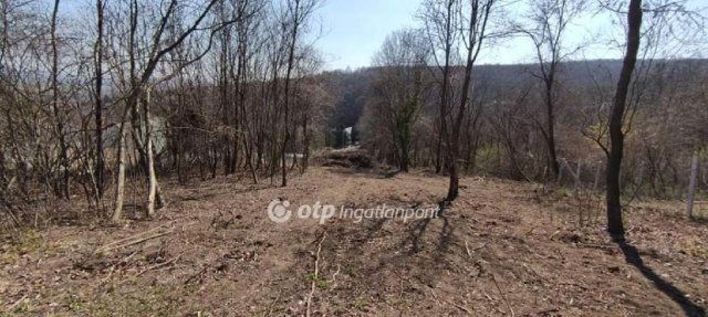 Eladó telek, Tahitótfalun 35 M Ft / költözzbe.hu