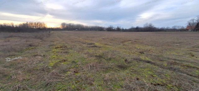 Eladó telek, Kecskeméten 5.9 M Ft / költözzbe.hu