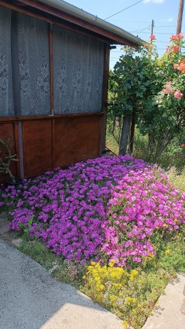 Eladó családi ház, Budapesten, XXII. kerületben 32.5 M Ft