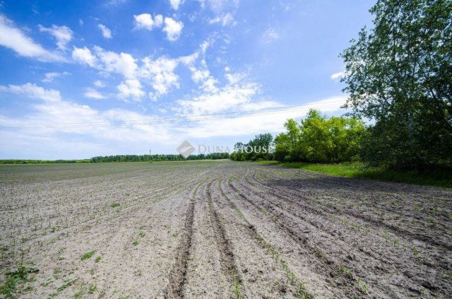Eladó telek, Pusztavacson 99 M Ft / költözzbe.hu