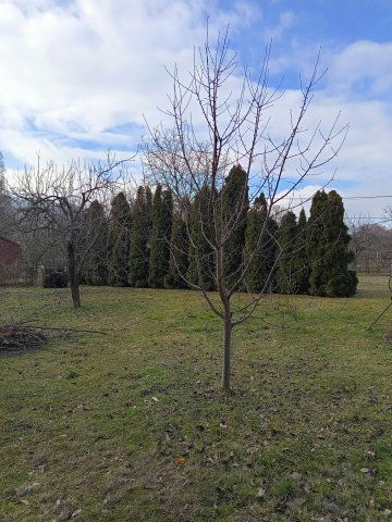 Eladó családi ház, Kisorosziban 89.9 M Ft, 3 szobás