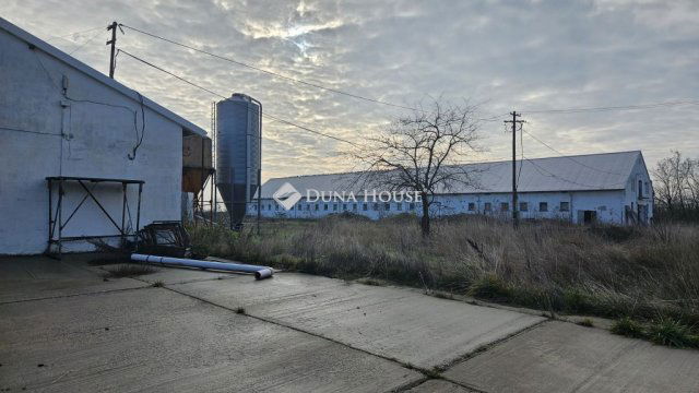 Eladó mezogazdasagi ingatlan, Mátyásdombon 325 M Ft