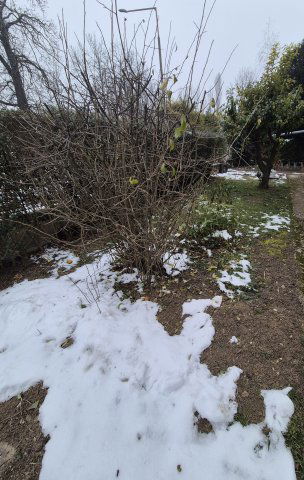 Eladó családi ház, Keszthelyen 74.9 M Ft, 3+1 szobás