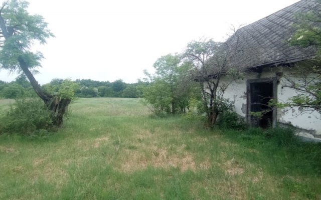 Eladó telek, Dabason 57 M Ft / költözzbe.hu