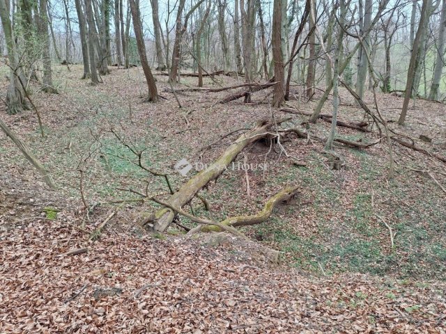 Eladó telek, Pákán 2.25 M Ft / költözzbe.hu