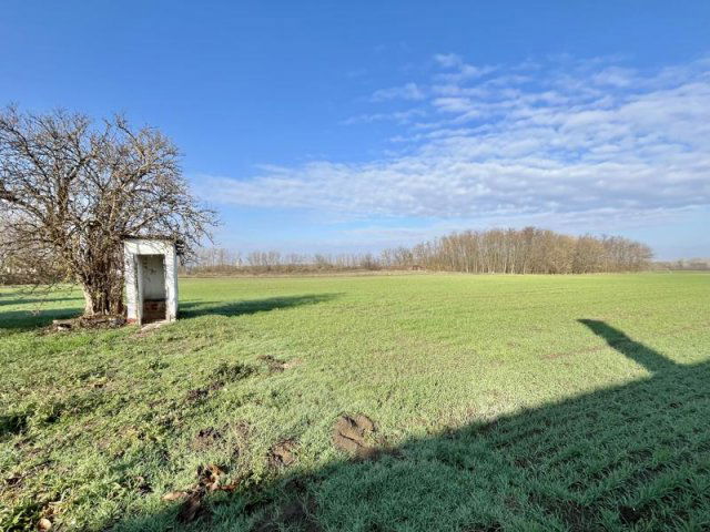 Eladó mezogazdasagi ingatlan, Tápiószentmártonon 6.5 M Ft