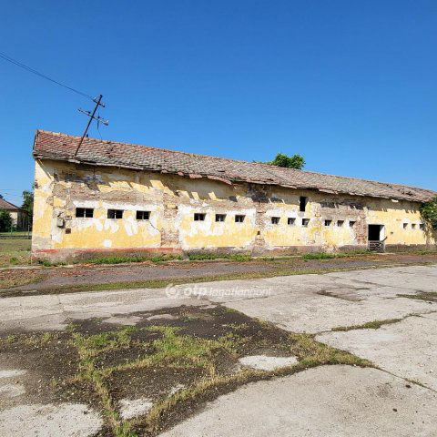 Eladó ipari ingatlan, Tetétlenen 48 M Ft / költözzbe.hu