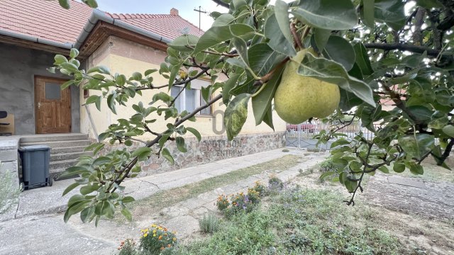 Eladó családi ház, Palotabozsokon 35 M Ft, 4 szobás