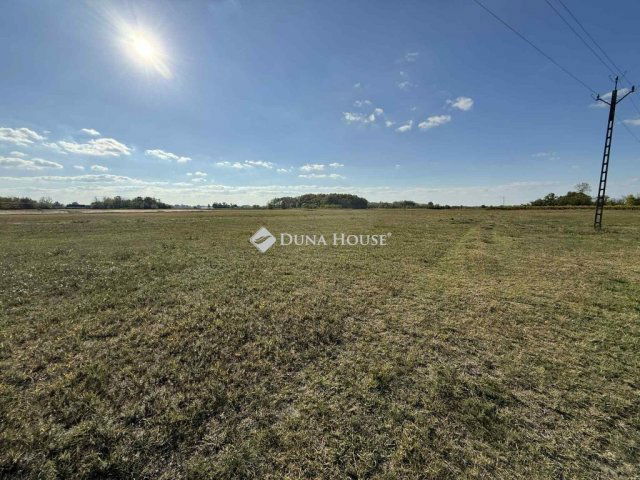 Eladó mezogazdasagi ingatlan, Orgoványon 79.9 M Ft, 3 szobás