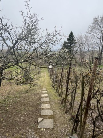 Eladó mezogazdasagi ingatlan, Győrújbaráton 12 M Ft, 1 szobás