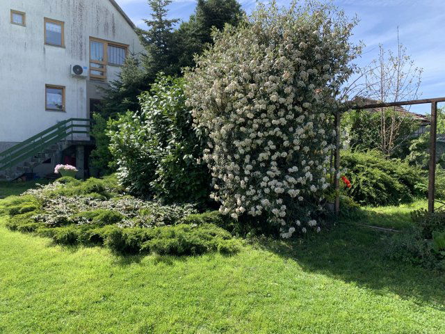 Eladó családi ház, Enyingen 59.9 M Ft, 8 szobás